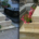 Deux tombes identiques avant et après, fleurissant avec des pots et des plantes autour du monument funéraire.