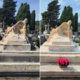 Deux vues d’un tombeau sculpté en pierre avec statue allongée, entouré d’arbres et de croix, côté droit une jardinière de