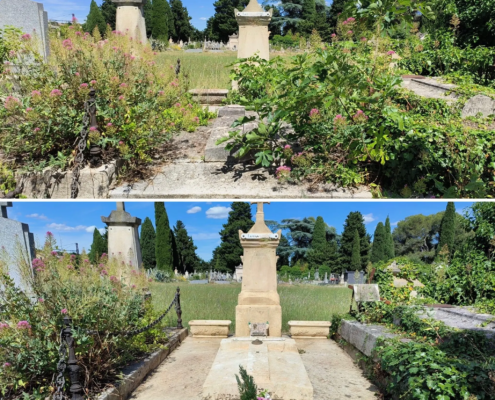 Tombe de cimetière entourée de végétation et de fleurs, avec des croix et pierres tombales visibles, avant et après
