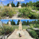 Tombe de cimetière entourée de végétation et de fleurs, avec des croix et pierres tombales visibles, avant et après
