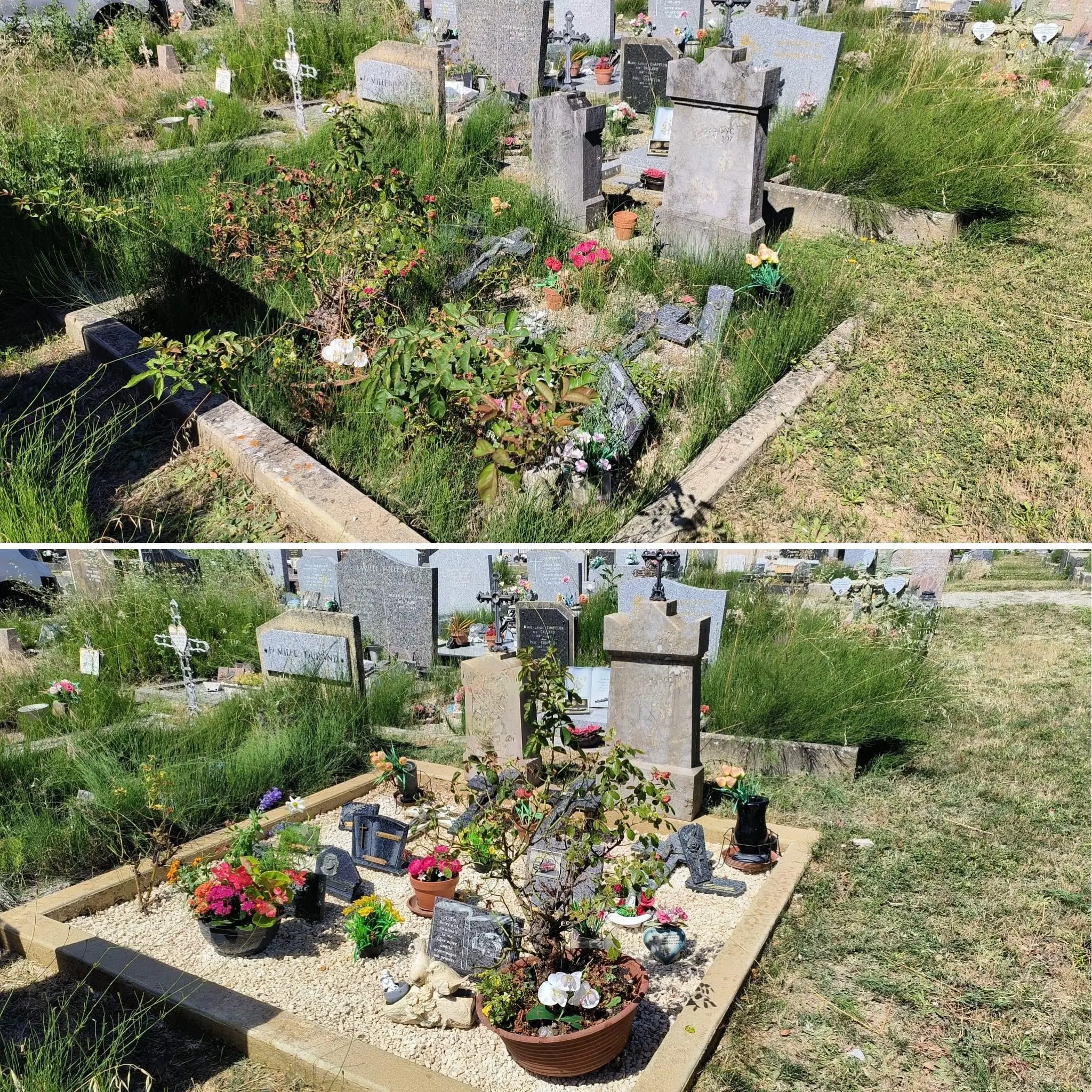 Tombeau de cimetière entretenu avec nettoyage, fleurissement et embellissement : pierres tombales, jardinières, plantes en Tombeau de cimetière entretenu avec nettoyage, fleurissement et embellissement : pierres tombales, jardinières, plantes en